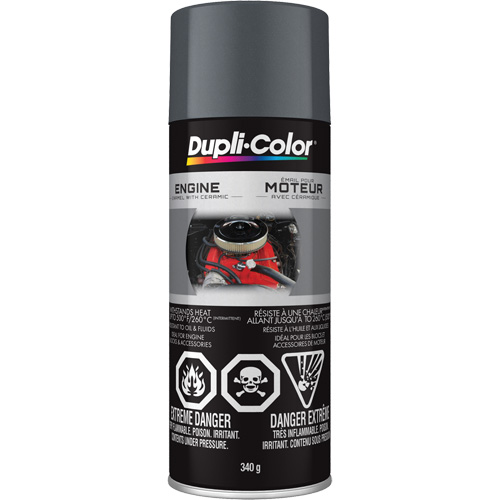 Engine Enamel Paint with Ceramic, Cast Iron Grey, High-Gloss, 12 oz., Aerosol Can Mukwa Safety Services