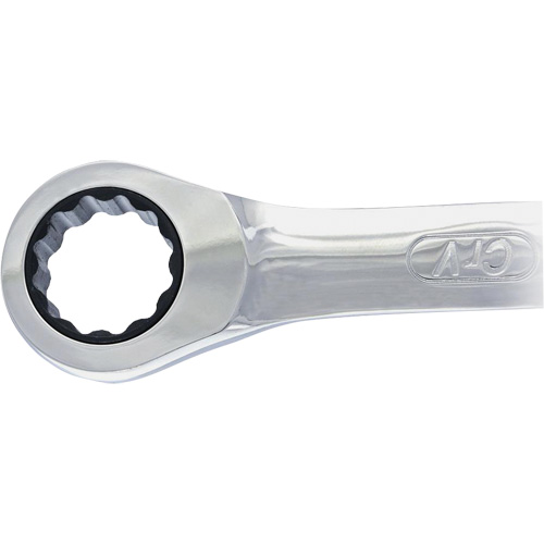 Non-Reversing Ratcheting Combination Wrench Mukwa Safety Services