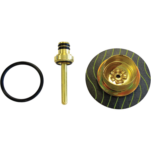 Filter/Regulator - Relieving Diaphragm & Valve Assembly Mukwa Safety Services