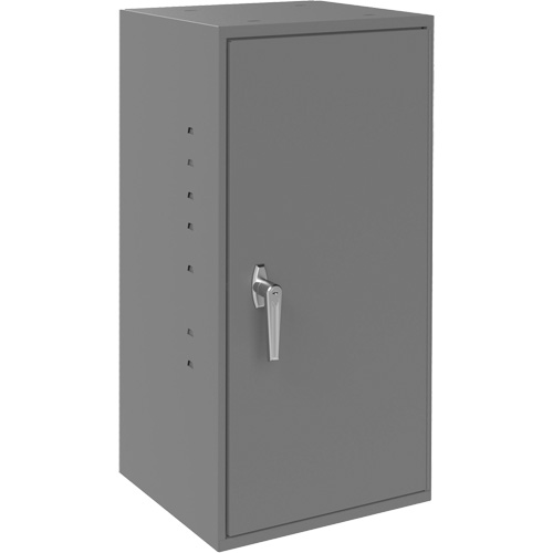 Armoires utilitaires, Acier, 2 Tablettes, 30" h x 13-3/4" la x 12-3/4" P, Gris Mukwa Safety Services