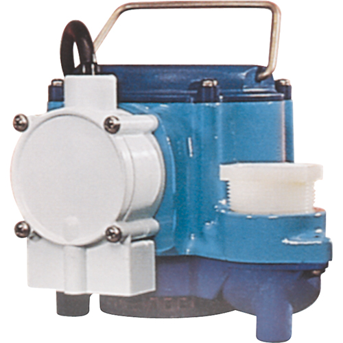 Pompes submersibles, 1/3 CV, 46 gal./h, 115 V, 9 A Mukwa Safety Services