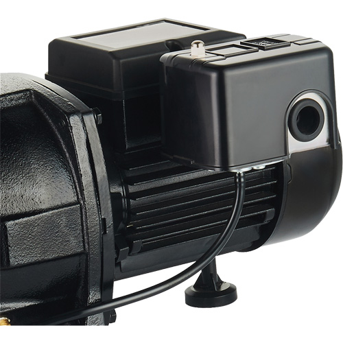 Pompe &agrave; jet en fonte &agrave; double tension pour puit peu profond, 115 V/230 V, 1100 gal./h, 1 CV Mukwa Safety Services