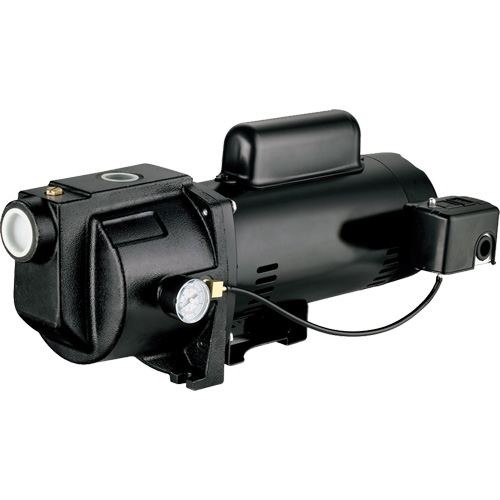 Pompe &agrave; jet en fonte &agrave; double tension pour puit peu profond, 115 V/230 V, 1260 gal./h, 1 CV Mukwa Safety Services