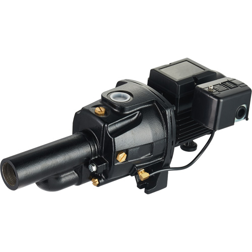 Pompe &agrave; jet en fonte &agrave; double tension transformable, 115 V/230 V, 1400 gal./h, 3/4 CV Mukwa Safety Services