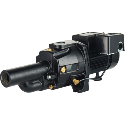 Pompe &agrave; jet en fonte &agrave; double tension transformable, 115 V/230 V, 1400 gal./h, 3/4 CV Mukwa Safety Services