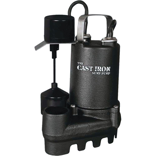 Cast Iron Submersible Sump Pump with Vertical Float Switch, 67 GPM, 33 V, 5 A, 1/3 HP Mukwa Safety Services