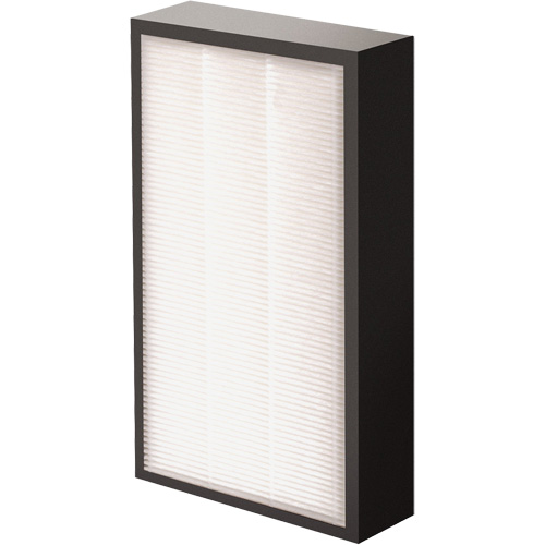 V&eacute;ritables filtre HEPA AeraMax Pro AM2 1-3/4", Boîte, 7,38" la x 1,88" p x 12,88" h Mukwa Safety Services