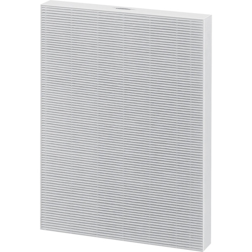 Filtre HEPA v&eacute;ritable AeraMax de rechange, Boîte, 10,31" la x 1,19" p x 13,38" h Mukwa Safety Services