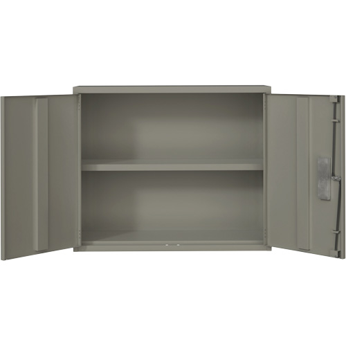 Wall Mounted Cabinet, Steel, 2 Shelves, 30" H x 36" W x 12" D, Grey Mukwa Safety Services