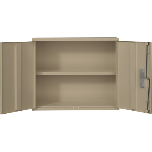 Armoire murale, Acier, 2 Tablettes, 30" h x 36" la x 12" P, Beige Mukwa Safety Services