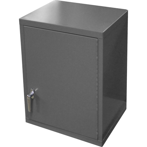 Armoire murale, 27" h x 13-11/16" la x 18" p, 2 tablettes, Acier, Gris Mukwa Safety Services