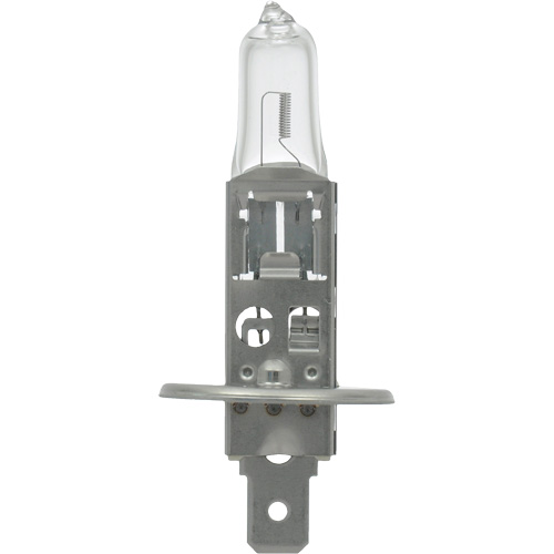 64155 Basic Automotive Bulb, Halogen, 78 W, Off White Mukwa Safety Services
