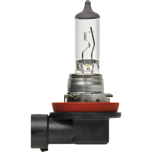Ampoule de base pour feu avant H8, Halog&egrave;ne, 35 W, Blanc cass&eacute; Mukwa Safety Services