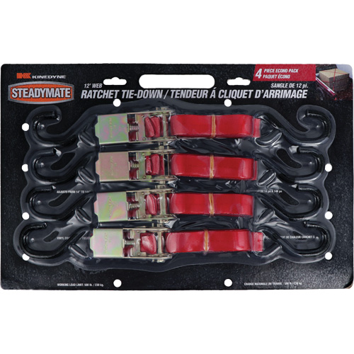 Ratchet Utility Straps, S-Hook, 1" W x 12' L, 500 lbs. (230 kg) Working Load Limit Mukwa Safety Services