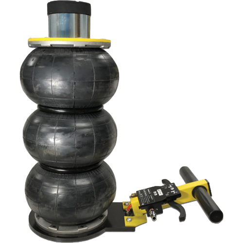 V&eacute;rin &agrave; coussin gonflable triphas&eacute; s&eacute;rie Pro, 2 tonne(s), 22" Hauteur &eacute;lev&eacute;e Mukwa Safety Services