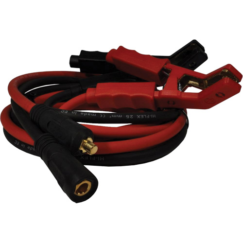 100 A High-Power Smart Charger with Inverter Technology Mukwa Safety Services