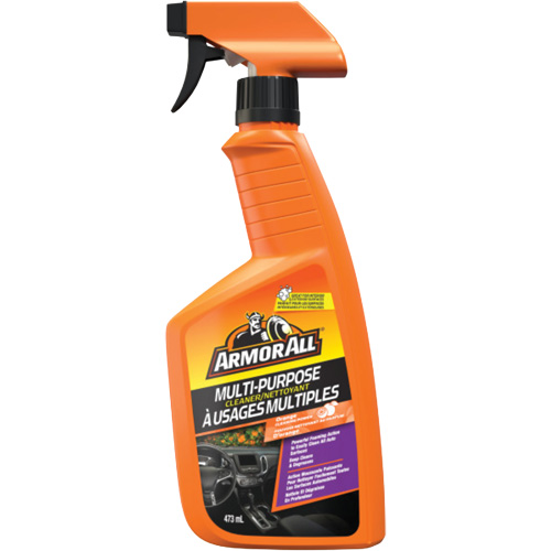 Multi-Purpose Auto Cleaner, 16 oz./473 ml, Trigger Bottle Mukwa Safety Services