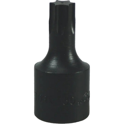 Embout Torx&reg; T-50 Mukwa Safety Services