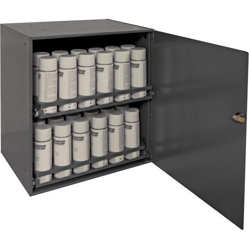 Armoire de rangement pour contenants a&eacute;rosol, Acier, 21-7/8" h x 15-15/16" la x 20-5/16" P, Gris Mukwa Safety Services