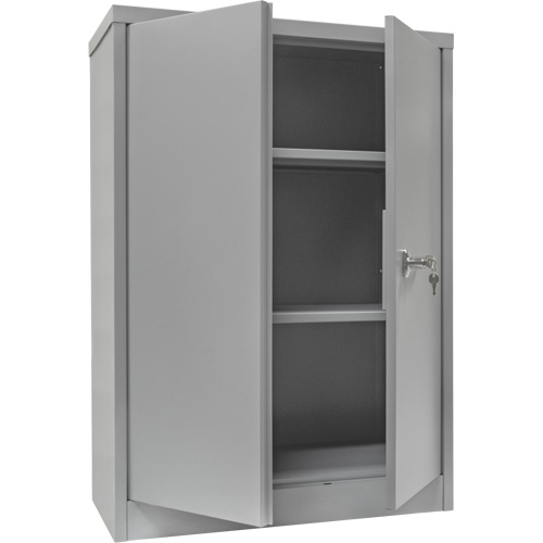 Counter-High Storage Cabinet, Steel, 2 Shelves, 42" H x 30" W x 15" D, Grey Mukwa Safety Services