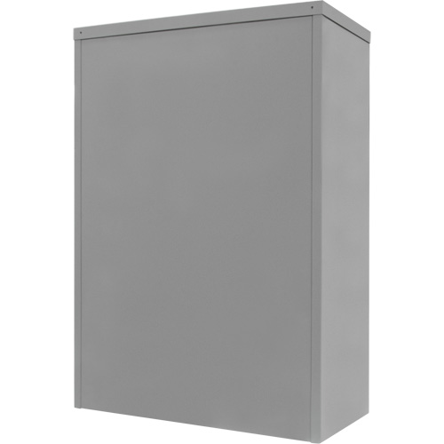 Counter-High Storage Cabinet, Steel, 2 Shelves, 42" H x 30" W x 15" D, Grey Mukwa Safety Services