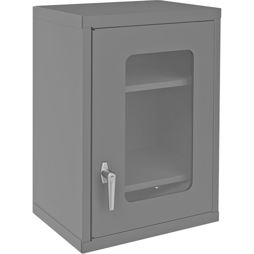 Armoire de rangement murale avec portes transparentes, 26-15/16" h x 18-1/8" la x 13-11/16" p, 2 tablettes, Acier, Gris Mukwa Safety Services