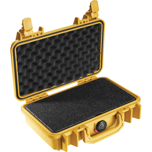 1170 Protector Case, Hard Case Mukwa Safety Services
