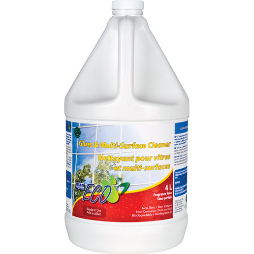 Glass & Multi-Surface Cleaners, 4 L, Jug Mukwa Safety Services