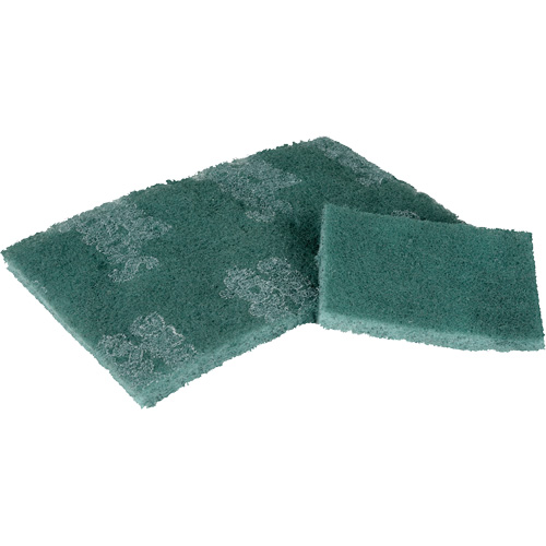 Tampon de r&eacute;curage, 3" lo x 4-1/2" la Mukwa Safety Services