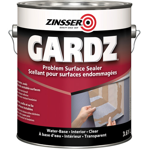 Scellant de surface &agrave; probl&egrave;mes Gardz, 916 ml, Canette, Transparent Mukwa Safety Services