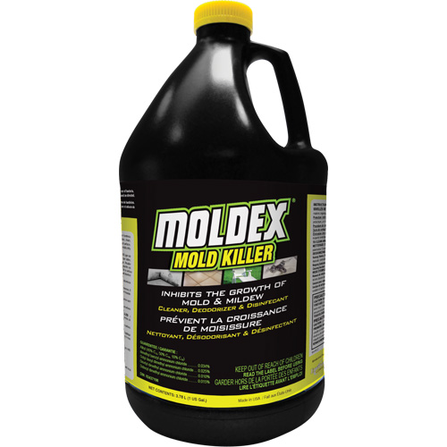 Moldex&reg; Mold Killer, 3.78 L, Jug Mukwa Safety Services