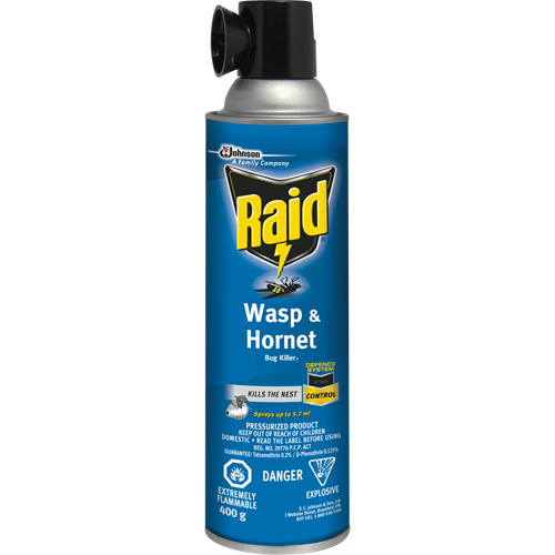 Raid&reg; Wasp & Hornet Bug Killer, 400 g, Solvent Base Mukwa Safety Services