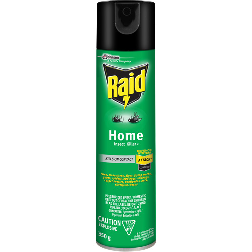 Raid&reg; Home Insect Killer, 350 g, Solvent Base Mukwa Safety Services