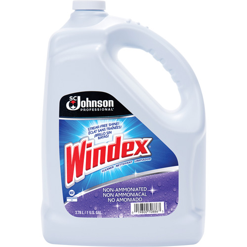 Windex&reg; Non-Ammoniated Multi-Surface Cleaner, 3.8 L, Jug Mukwa Safety Services