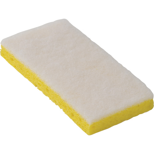 745W Light-Duty Scouring Sponges, 6-1/4" L x 3-1/5" W Mukwa Safety Services