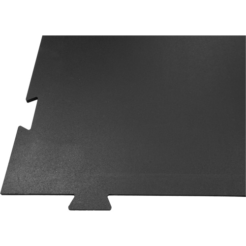 Plancher pour centre d'entraînement &agrave; la maison Voyager Mukwa Safety Services