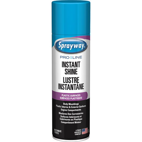 Brillant instantan&eacute; Pro Line pour surfaces en plastique, 11 oz, Canette a&eacute;rosol Mukwa Safety Services