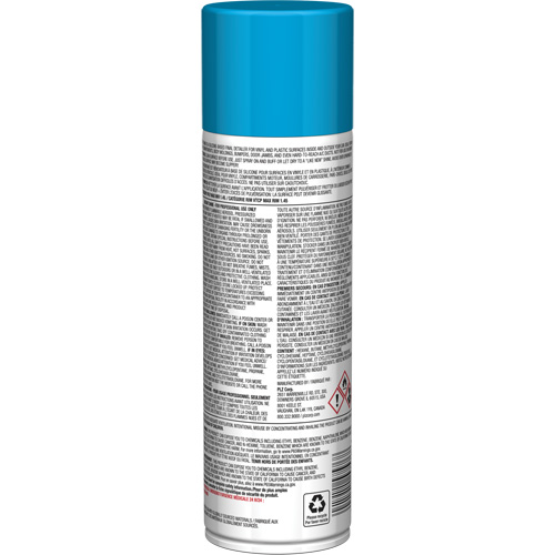 Brillant instantan&eacute; Pro Line pour surfaces en plastique, 11 oz, Canette a&eacute;rosol Mukwa Safety Services