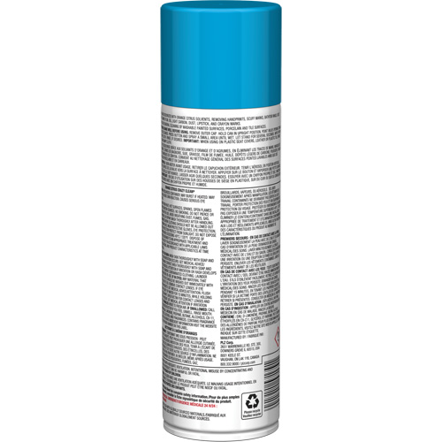 Nettoyant tout usage Pro Line Crazy Clean, 19 oz., Canette a&eacute;rosol Mukwa Safety Services