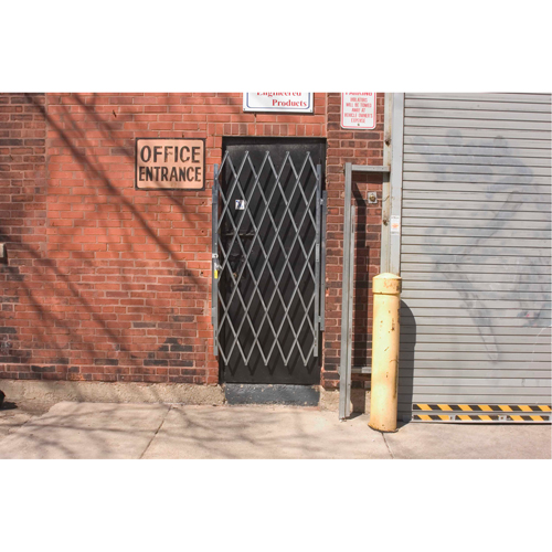 Heavy-Duty Door Gates, Single, 4' L x 6' 3" H Expanded Mukwa Safety Services