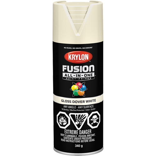 Fusion All-In-One Spray Paint, Dover White, Gloss, 12 oz., Aerosol Can Mukwa Safety Services