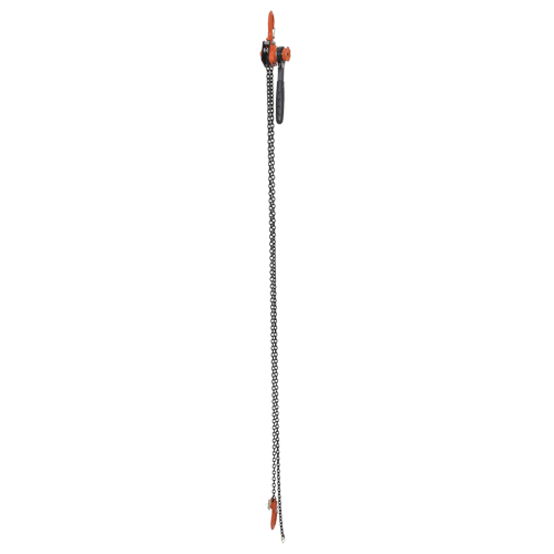 Mini palan &agrave; levier, Lev&eacute;e 10', Cabacit&eacute; 1000 lb (0,5 tonne), Chaîne en Acier Mukwa Safety Services