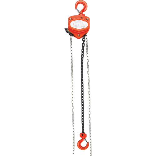 Chain Hoist, 20' Lift, 6000 lbs. (3 tons) Capacity, Alloy Steel Chain Mukwa Safety Services