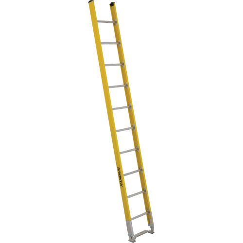 Single Section Straight Ladder - 6100 Series, 10', Fibreglass, 375 lbs., CSA Grade 1AA Mukwa Safety Services
