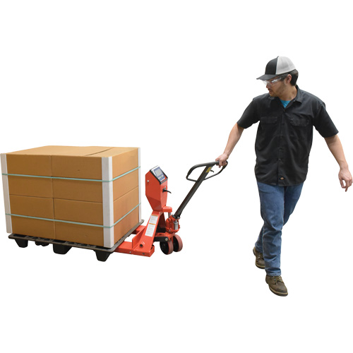 Pallet Truck, 48" L x 27.5" W, 5000 lbs. Cap. Mukwa Safety Services