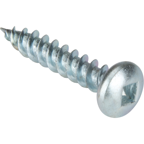 Vis taraudeuse &agrave; t&ecirc;te cylindrique, #10 x 1-1/4" lo, Zingu&eacute; Mukwa Safety Services
