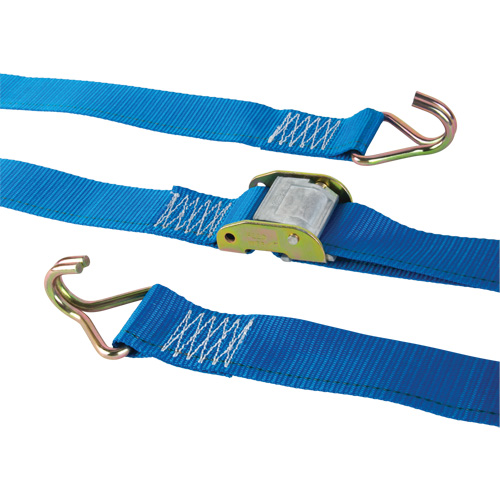 Tendeur d'arrimage logistique, Boucle &agrave; came, 2" la x 20' lo, Charge d'utilisation 500 lb (227 kg) Mukwa Safety Services