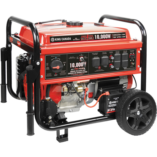 Tri-Fuel Generator with Electric Start Mukwa Safety Services