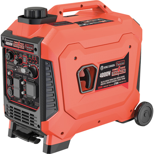 Inverter Generator Mukwa Safety Services