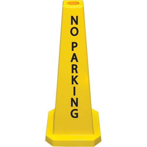 C&ocirc;nes de d&eacute;viation  No Parking , Anglais Mukwa Safety Services